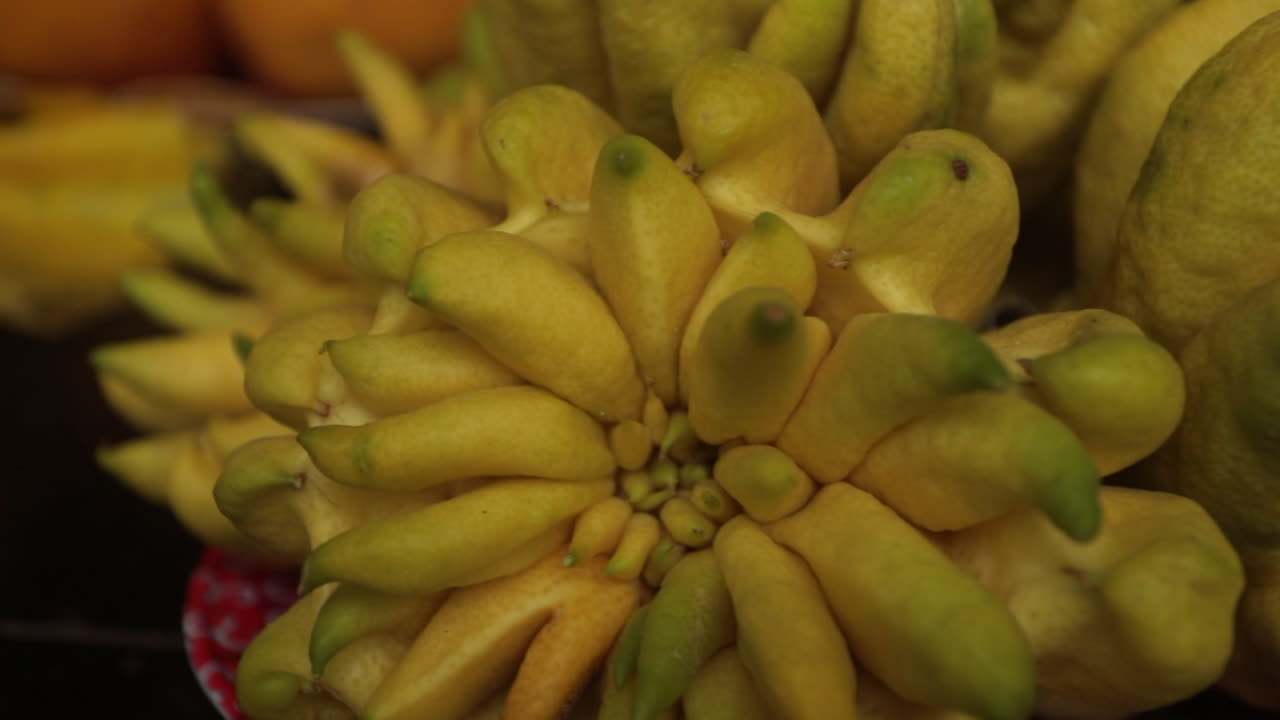 Unusual yellow Buddha's Hand citrus fruit on display at a local market in Sa Pa, Vietnam