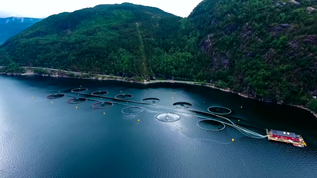 노르웨이에서 연어  ⁇ 시를 하는 공중 촬영