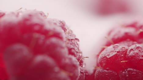 fresh raspberry with dry ice fog