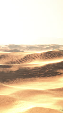 golden sand dunes in the desert