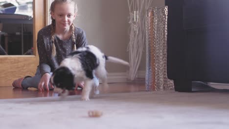 adorable puppy stops eating his treat, and runs up to her young owner.