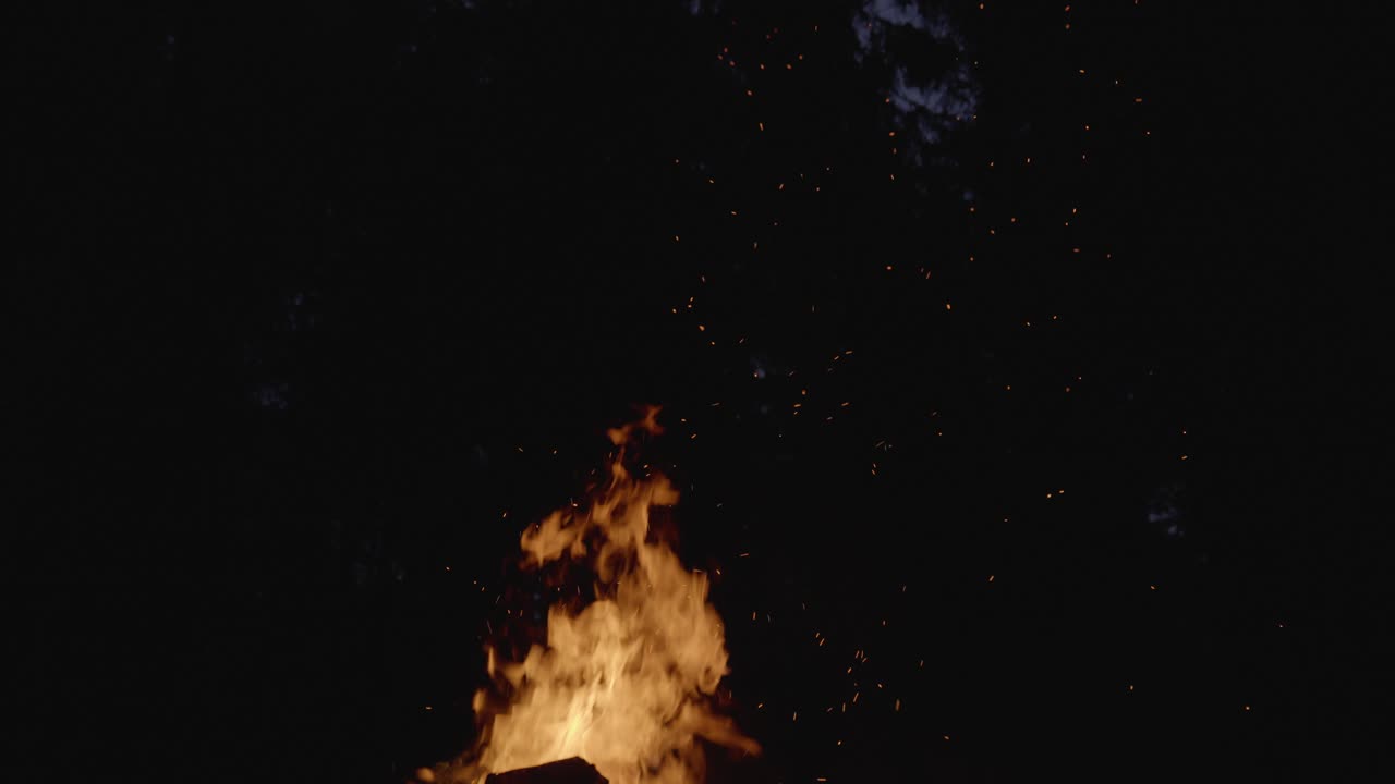 fogata en el bosque por la noche