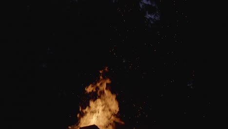 bonfire in forest at night