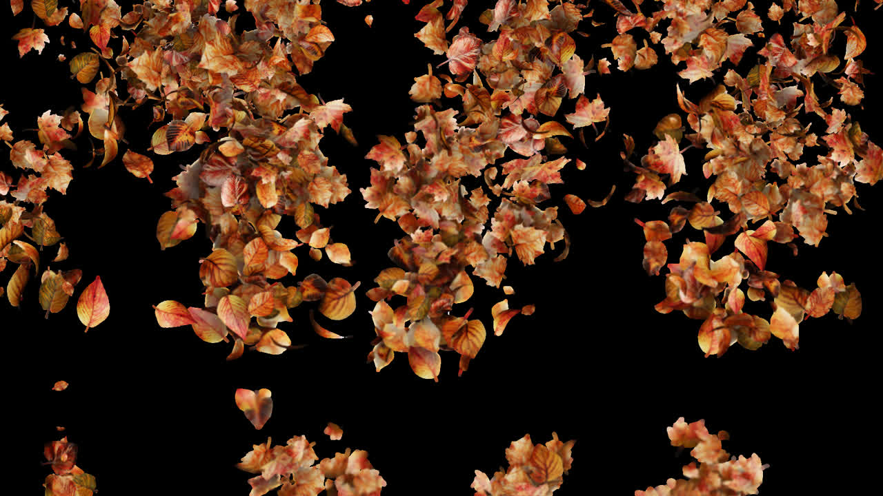 Falling Autumn Leaves Backround Loop with Alpha Transparency