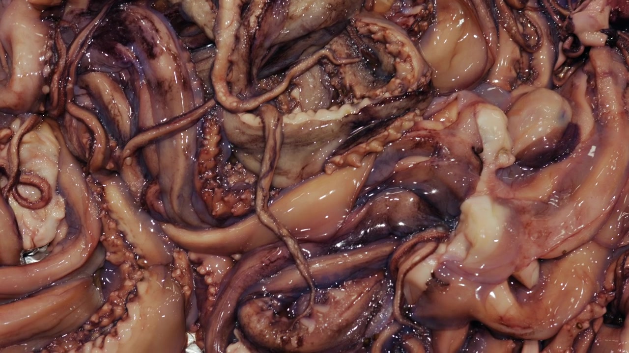 Múltiples tentáculos de pulpo crudos con ventosas dispuestos para la venta, mostrando mariscos frescos y textura de molusco