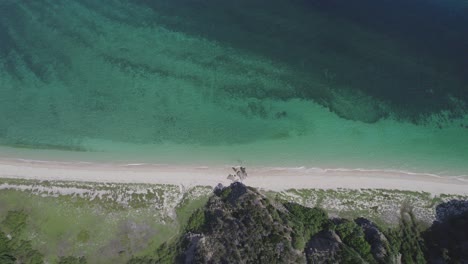 top view of white sandy beach at clam bay in great keppel island, queensland, australia