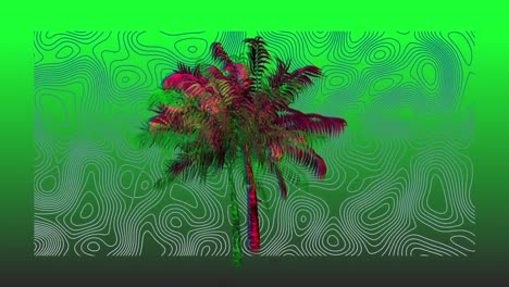 Animation-of-moving-palm-tree,-over-contour-lines,-on-green