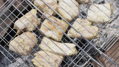 Close up chiken meat grilled on barbecue during summer camping