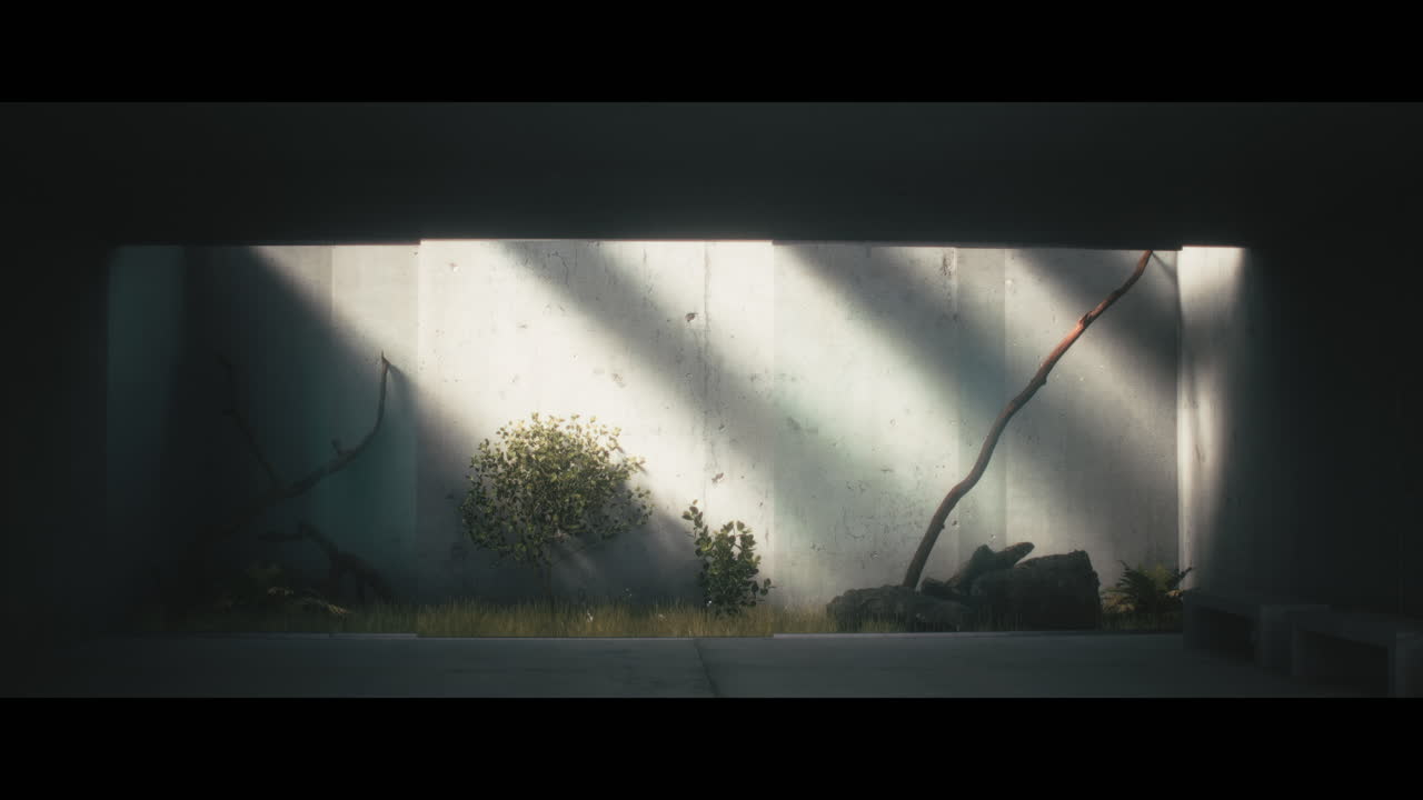 Minimalist Concrete Garden