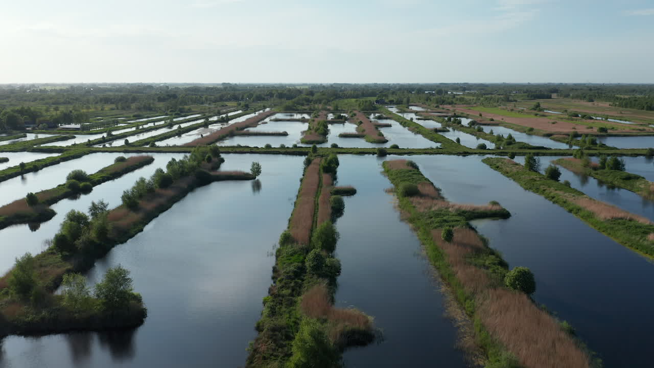 Paesaggio di infinite zone umide nel Parco Nazionale Weerribben-Wieden, Ossenzijl, Frisia, Paesi Bassi.
