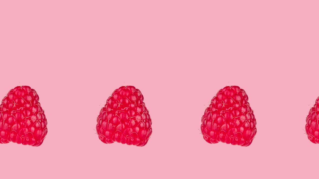 핑크색 배경의 클로즈업에 많은 신선한 익은 라즈베리 애니메이션, 현실적인 3d 음식의 원활한 루핑, 텍스트를 위해 복사 공간을 가진 최소한의 스 모션 디자인 예술.