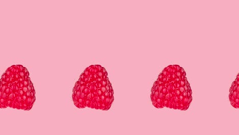 many fresh ripe raspberry animated on a pink background close-up. seamless looping of realistic 3d food. minimal stop motion design art with copy space for text