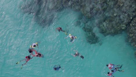 above view of snorkelers exploring a caribbean reef