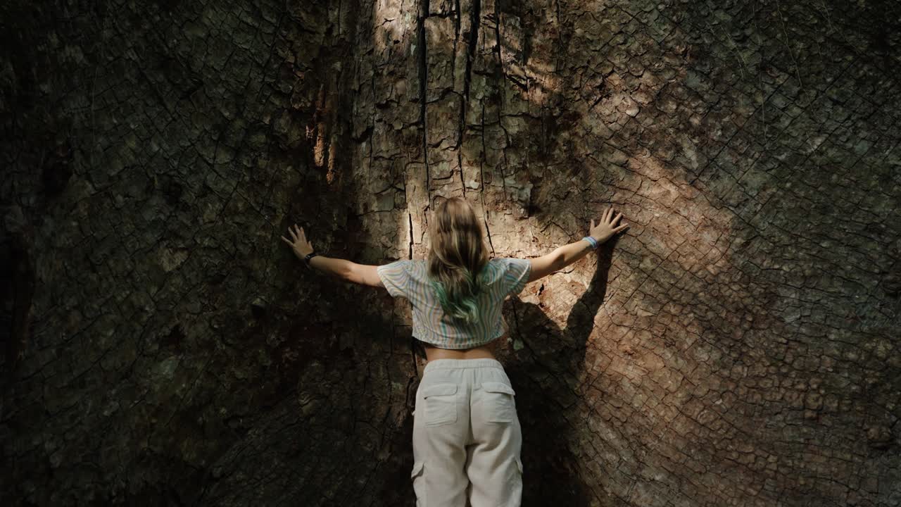 A woman with light hair places her hands on the sacred bark of a massive Ceiba tree, bathed in forest light in Tikal’s jungle.