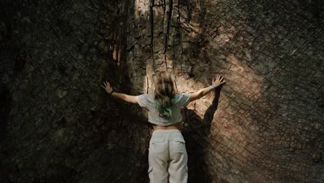 a woman with light hair places her hands on the sacred bark of a massive ceiba tree, bathed in forest light in tikal’s jungle.