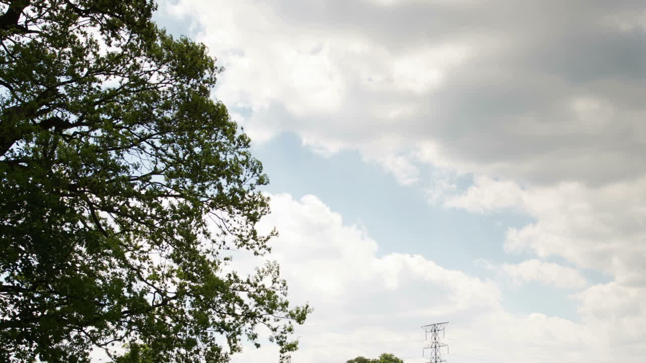 아름다운 나무 05