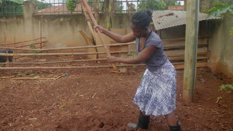 a wide shot from the side of an african woman digging in a rural farm using a hoe to turn up the soil