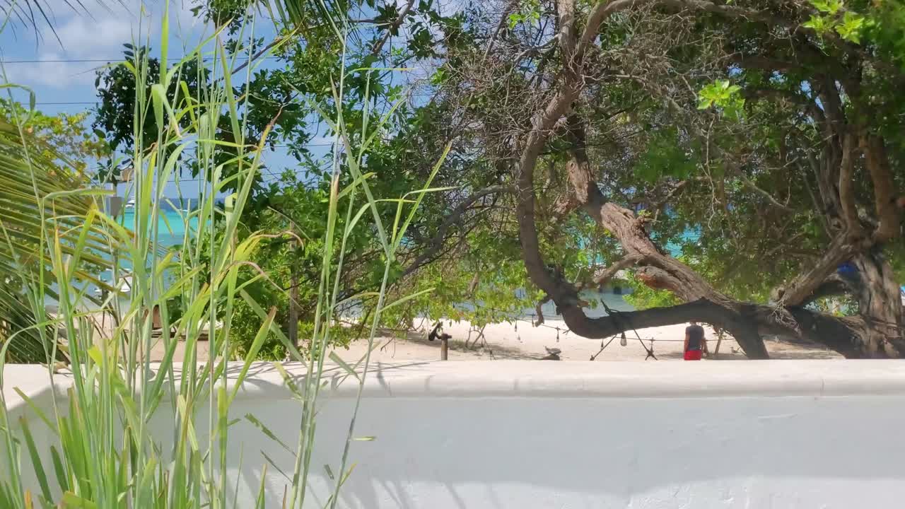 Enjoy a serene stroll along a beautiful terrace facing the beach. This cinematic view showcases the vibrant colors, lush greenery, and inviting atmosphere, perfect for relaxation and inspiration