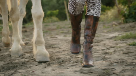 walking with a horse in nature