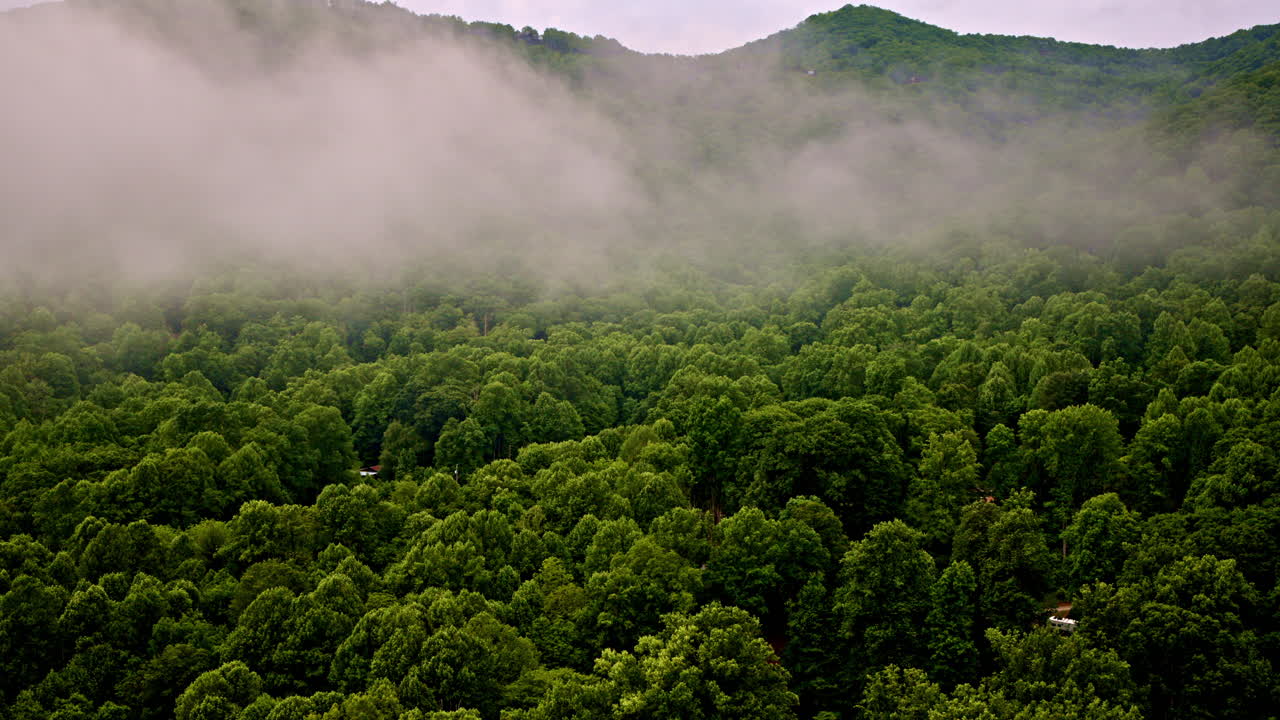 Kabut dan film bertemu di atas Pegunungan Great Smoky.