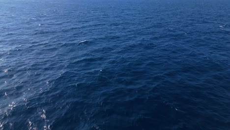 panoramic ocean backdrop texture with waves catching sparkling light from sun
