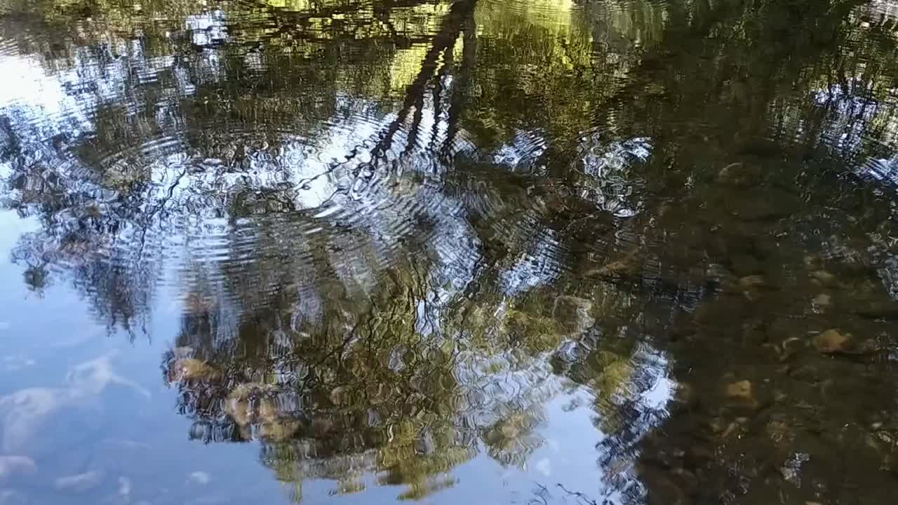 Clear shallow waters of a still meadow with stones underneath