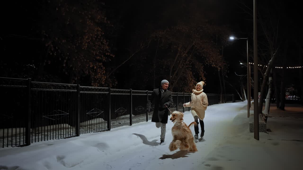 Couple Walking Dog in the Snow at Night