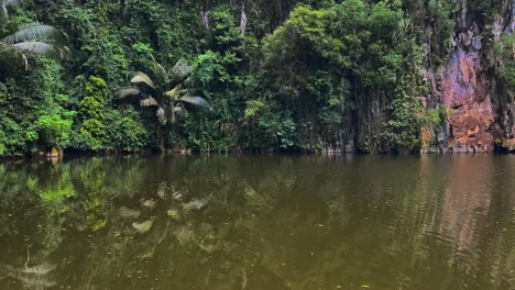 a serene lake surrounded by limestone formations draped in trees and vines at kek look tong cave in ipoh, malaysia - pan right shot