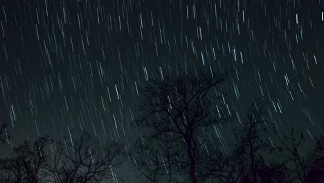 Star-Trail-Time-Lapse-4k-Imágenes-De-Las-Estrellas-Detrás-De-Un-árbol-Solitario-En-El-Cielo-Nocturno