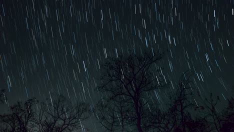 star trail time lapse 4k imágenes de las estrellas detrás de un árbol solitario en el cielo nocturno