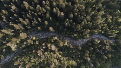 Stationary-aerial-view-of-the-river-in-Little-Cottonwood-Canyon,-Utah