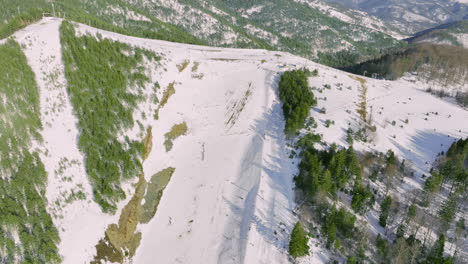 aerial view of snowy mountain ski slope with pine forests