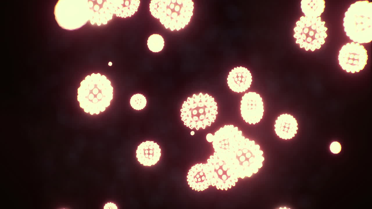 ミクロの驚異が、夜の暗い空間を鮮やかな色彩で照らします。
