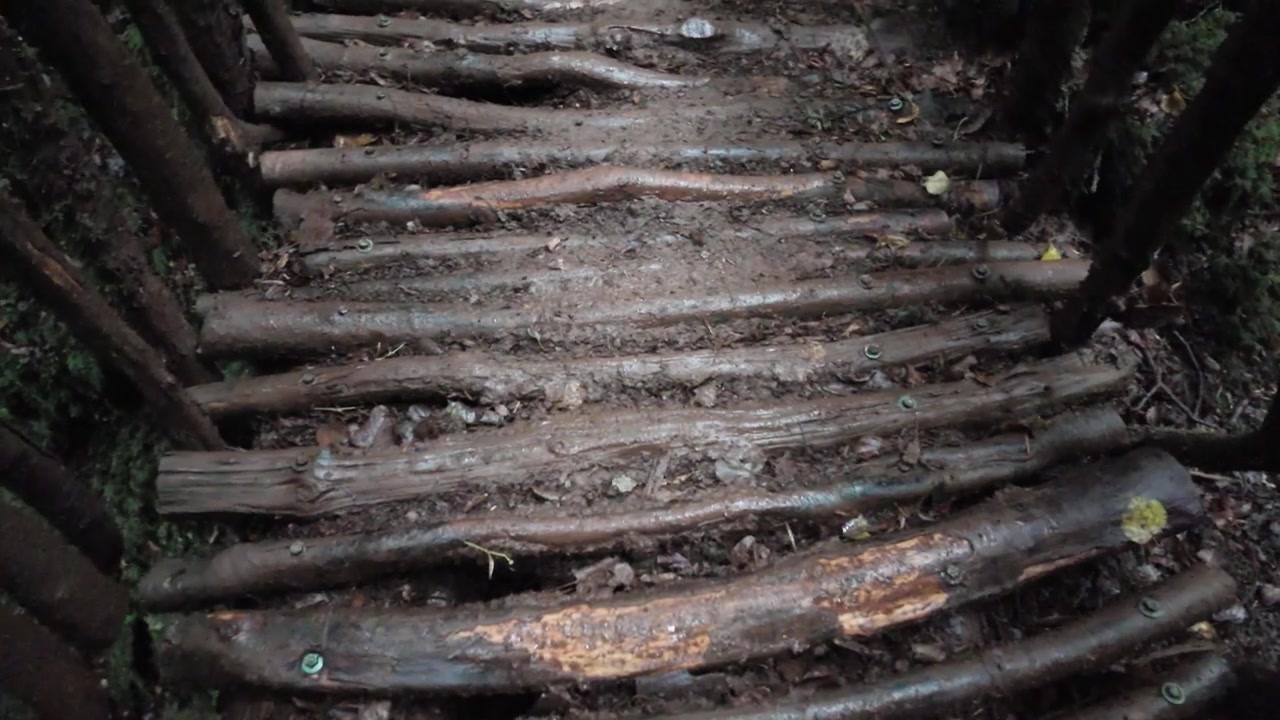 Piedi che avanzano in prima persona attraverso un rozzo ponte pedonale di tronchi in un ambiente forestale umido