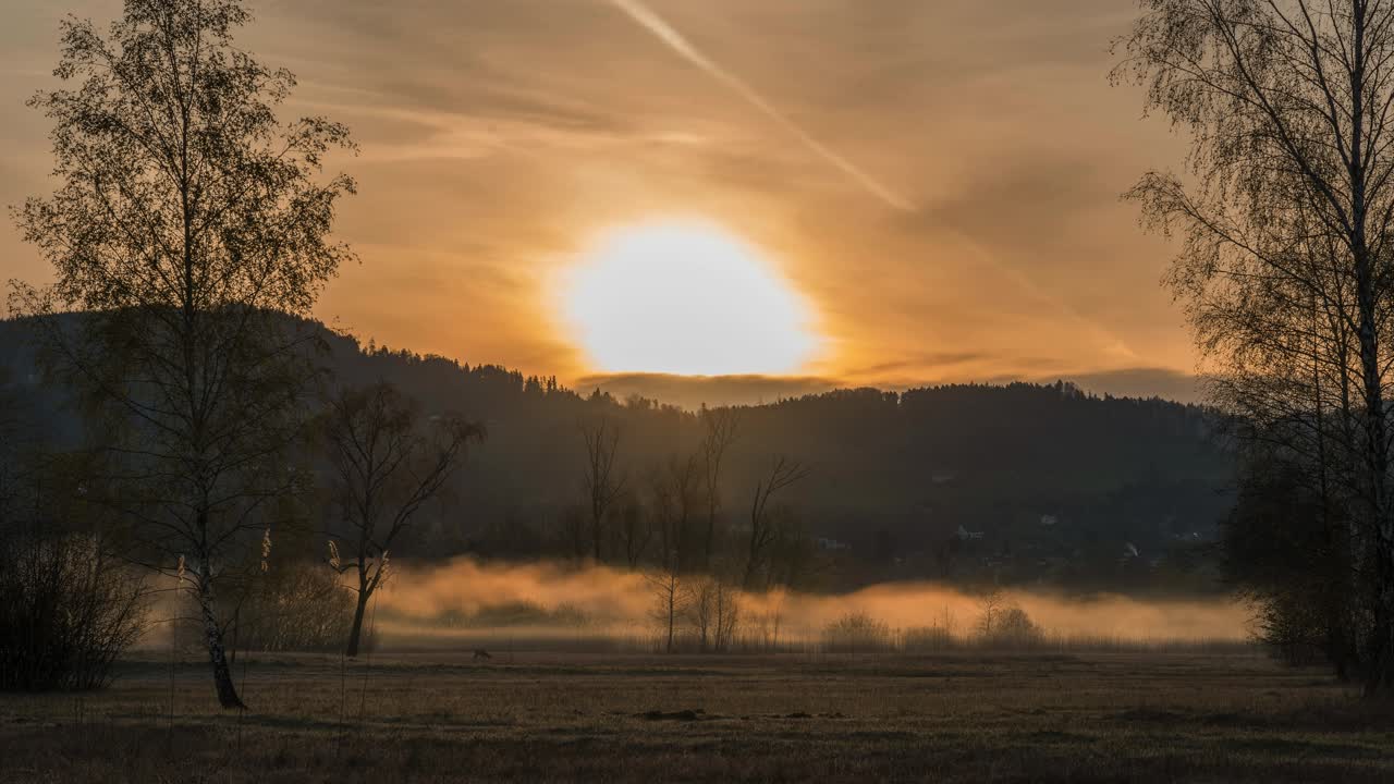 Sunrise in a natural landscape with fog and mist at morning. Hills are in the background. A deer searches for food. The sun illuminates the mist. Mystical atmosphere. Golden hour. Timelapse