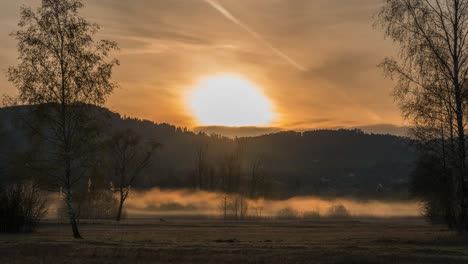 sunrise in a natural landscape with fog and mist at morning. hills are in the background. a deer searches for food. the sun illuminates the mist. mystical atmosphere. golden hour. timelapse