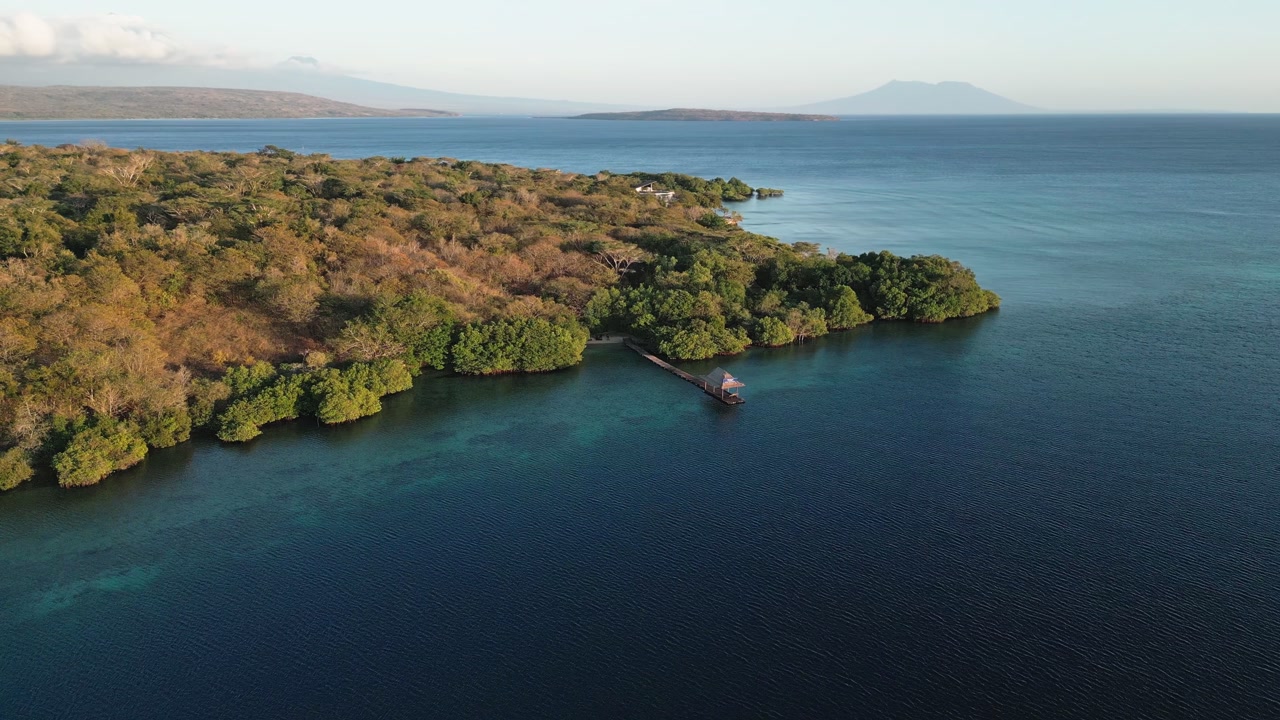 Stunning drone aerial capturing lush forest, clear ocean, and distant mountains around Menjangan Island in West Bali National Park, showcasing untouched tropical beauty and scenic coastal landscape.