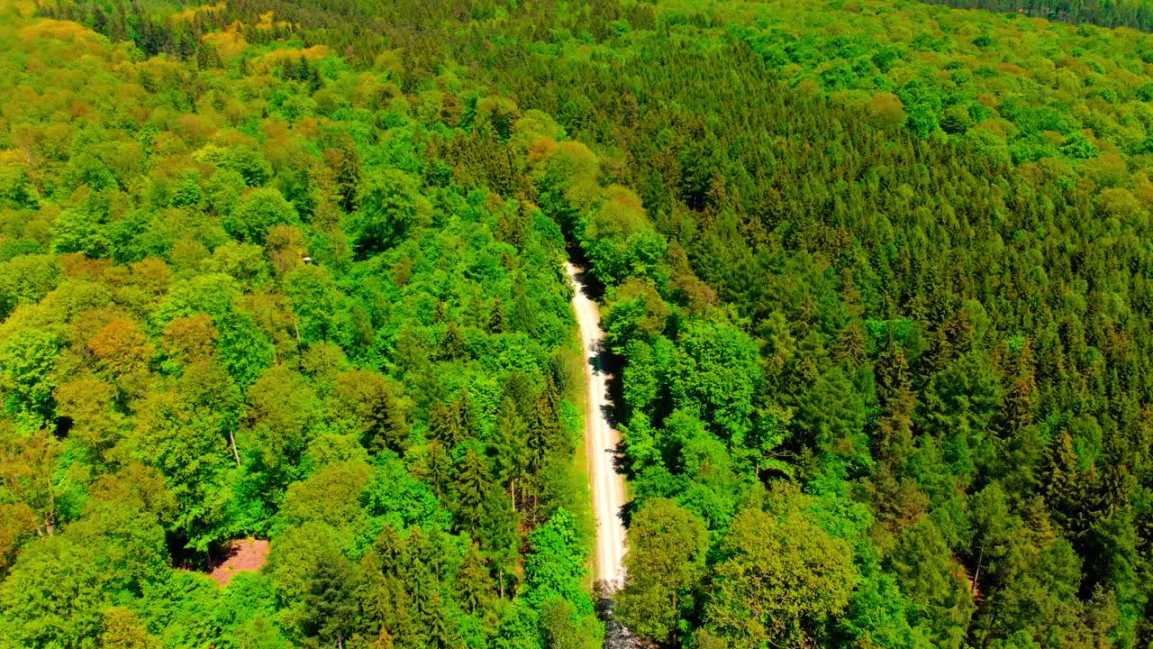 무성한 녹색 여름 숲과 고속도로 풍경을 통해 드론 공중 비행