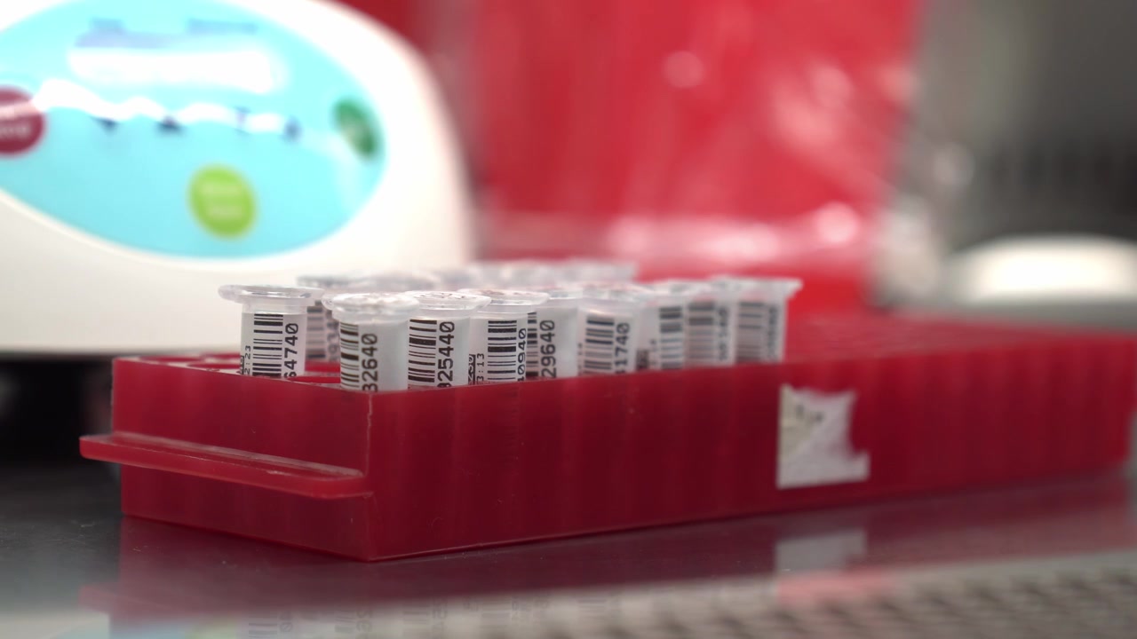 Red rack of labeled sample tubes in a clinical laboratory setting, close-up shot with soft focus