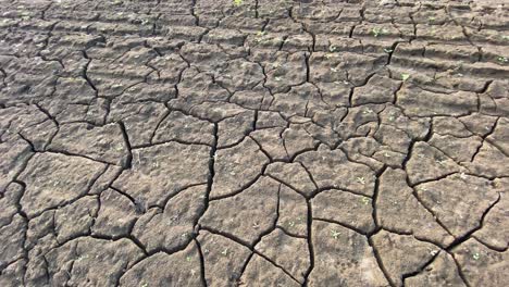 Closeup-panning-shot-of-parched-clay-soil-terrain,-drought-concept,-sunny-day