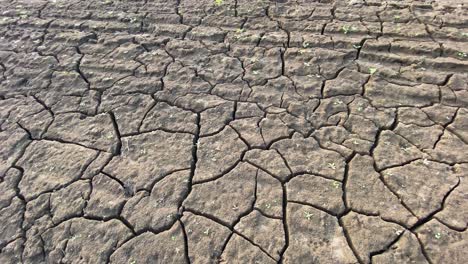 toma panorámica de primer plano del terreno de suelo arcilloso reseco, concepto de sequía, día soleado