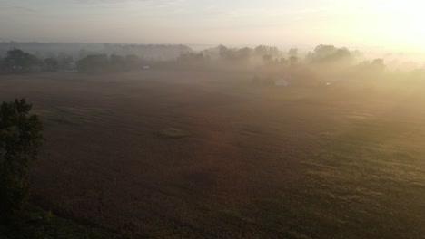 foggy farm fields on golden hour, michigan, usa