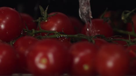 fresh organic red tomatoes in close up commercial