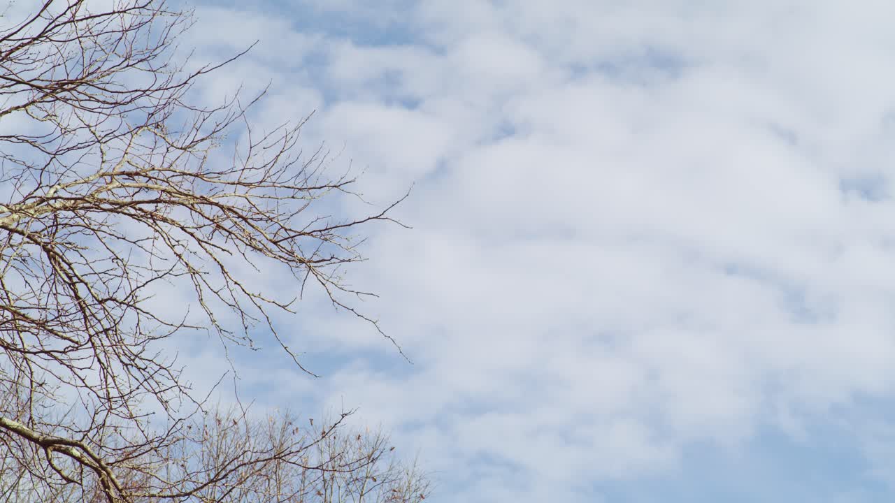 가을 하늘의 느린 기울기