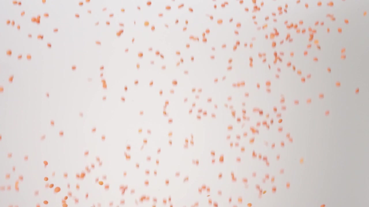 Tørkede rå røde linser som regner ned på en hvit bakgrunn i sakte film, nærbilde makro