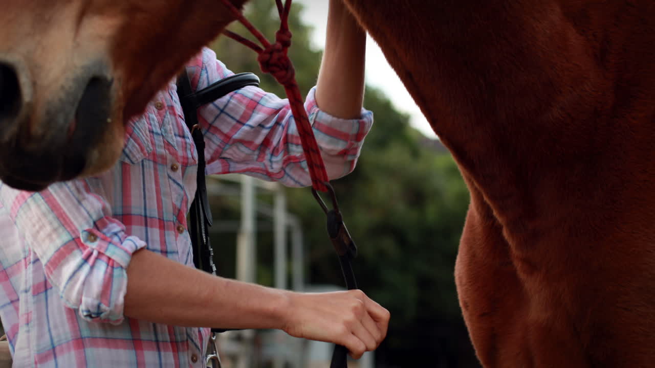 mujer de pie con su caballo
