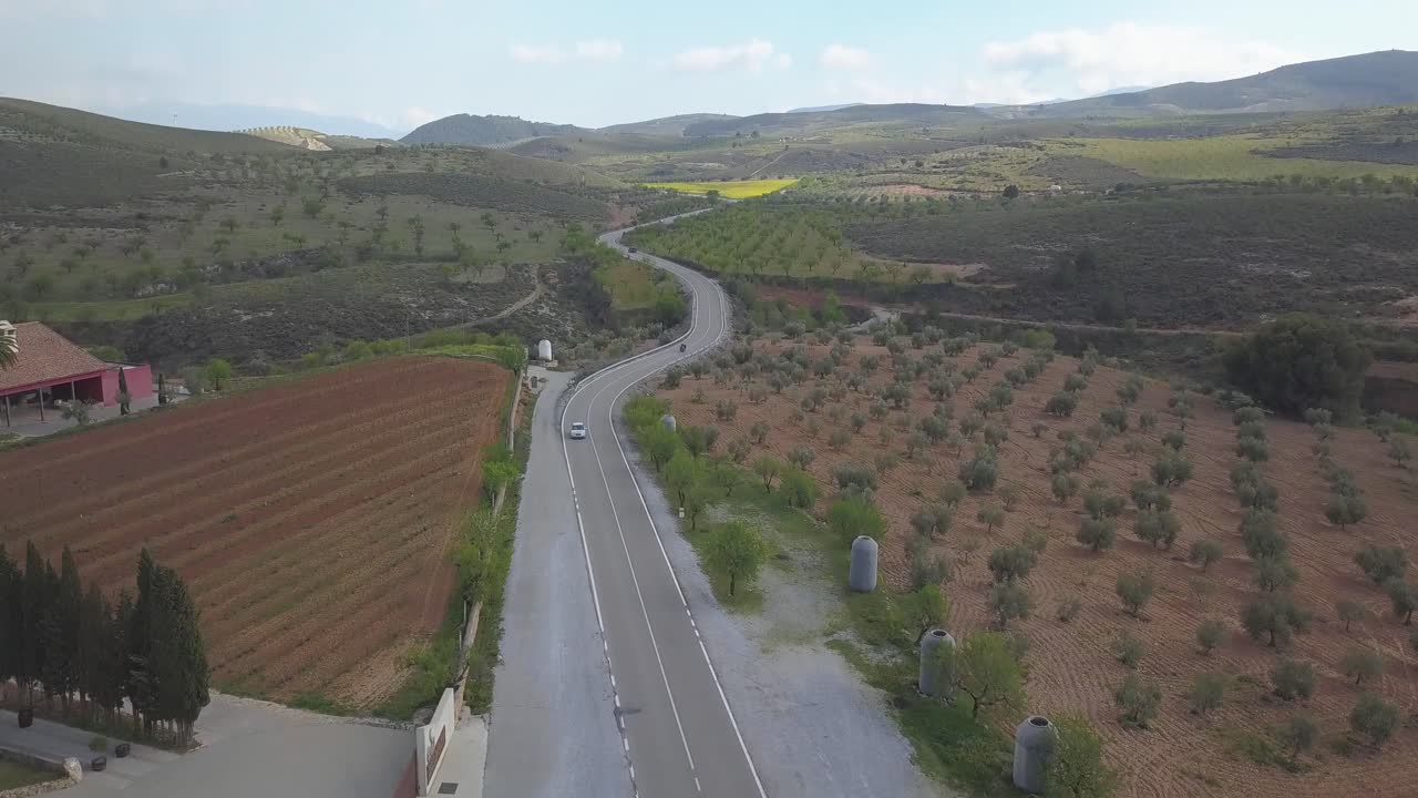 Veicoli che guidano su una strada tortuosa in salita tra frutteti e campi di vigneti a Granada, Spagna. - aerea