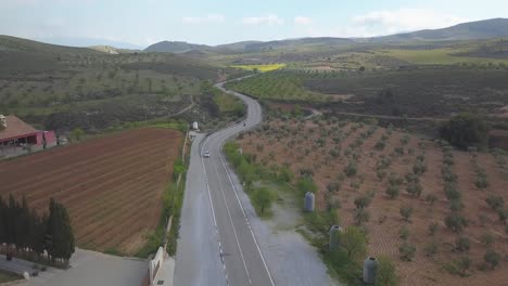 vehicles driving on an uphill winding road between orchards and field of vineyards in granada, spain. - aerial