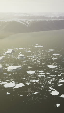 Stunning aerial view of icebergs drifting in a serene arctic landscape