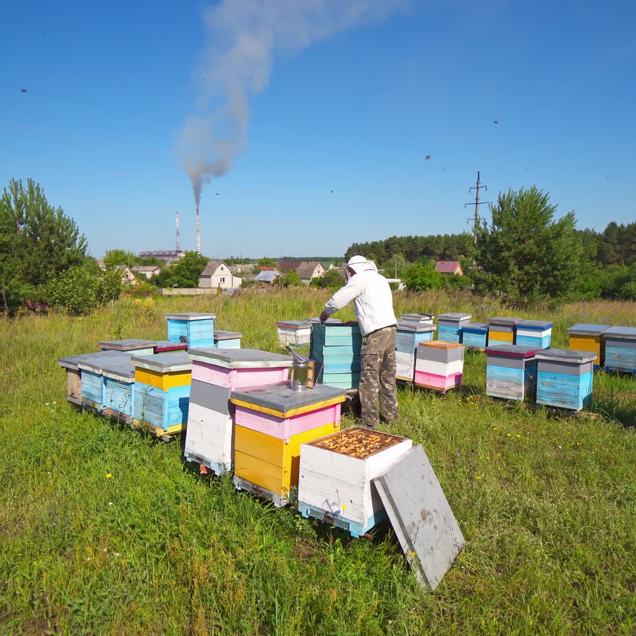Apiarist near wooden beehives. Beekeeper works on apiary on the background of industrial pipes with smoke among nature. Beekeeping process in summer.